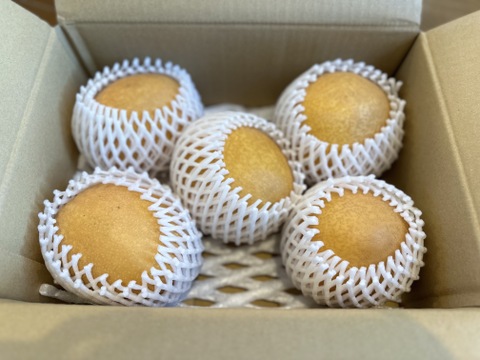 鳥取県産 王秋梨 ３ｋｇ