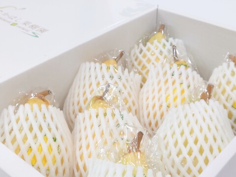 たかはし果樹園謹製 高級西洋梨「ル・レクチェ」青秀品 小玉 約2kg