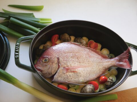 「白ネギ」とろ〜り柔らか♡甘さある長ネギ～カットネギこだわりの果物堆肥1㎏60サイズ＜白い部分のみ1/3に切って箱に詰めてお届けします！＞