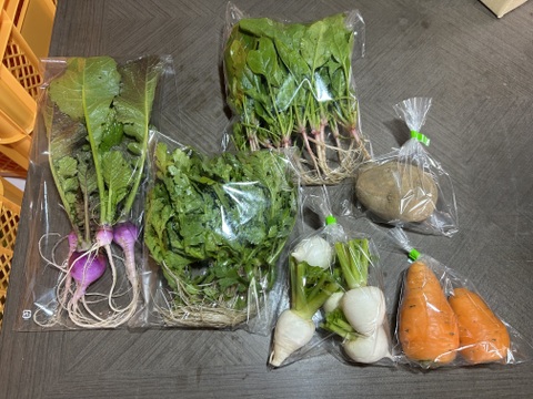 【自然栽培】6品目お試し旬のお野菜セット