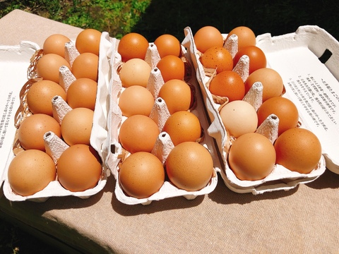 「走る鶏の放牧卵　お多福たまご」（３０個入）残留農薬・放射性物質不検出。安心安全にこだわる放し飼い卵です。