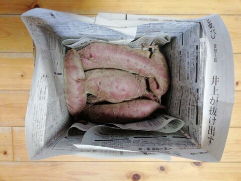 サツマイモ(ベニハルカ)３㎏前後【農薬化学肥料不使用】【熨斗(のし)対応可】【あわせ買い可】　さつまいも