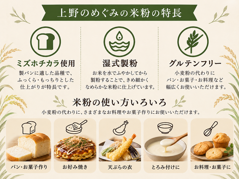 自然栽培・農薬・肥料不使用｜パンにおすすめの米粉「ミズホチカラ