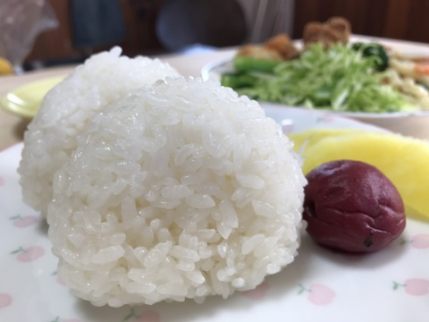 令和４年産コシヒカリ特別栽培米5㎏
栄養に気遣いながら美味しい８分づき