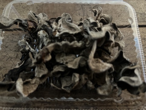 【群馬県産】乾燥キクラゲ　80g