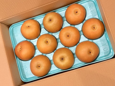 家庭用　あきづき梨　5kg　あま〜〜い梨