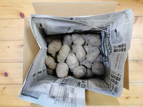 ジャガイモ(ノーブルシャドー)2.5～３㎏程度【農薬化学肥料不使用】【合わせ買い可】【熨斗(のし)対応可】