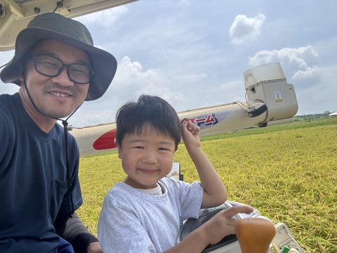 令和8年度新米 埼玉県産】🌾コシヒカリ精米10kg：埼玉県産のコシヒカリ