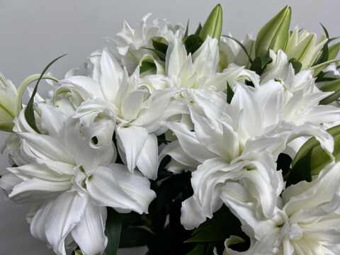 【簡易包装】ヌナブト3-4輪3本束 ❤昨年の名前を出せないあの子が遂にデビュー❤こちらの商品はおリボンなどはついておりません<(_ _)>