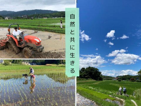 【令和4年・白米】5㎏ 希少米　つきあかり　栽培期間化学肥料不使用
