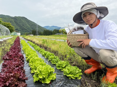 旬の野菜を堪能できる。朝採れ自然栽培野菜セット　５～７種類　約１～２kg