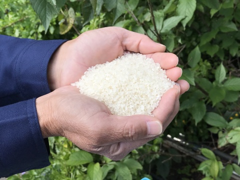 令和2年産コシヒカリ特別栽培米5㎏
美味しさ重視と手間いらずの無洗米
【値引き販売中】