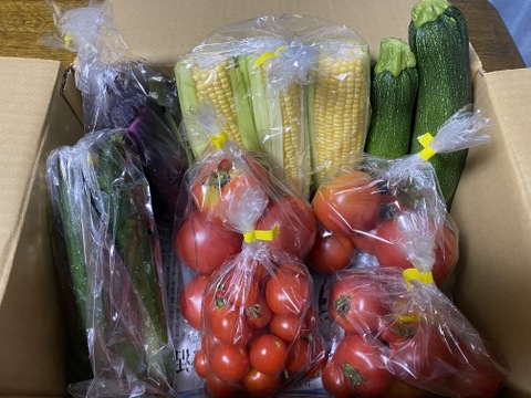 はねだしでお得!!自然栽培お任せ野菜セット