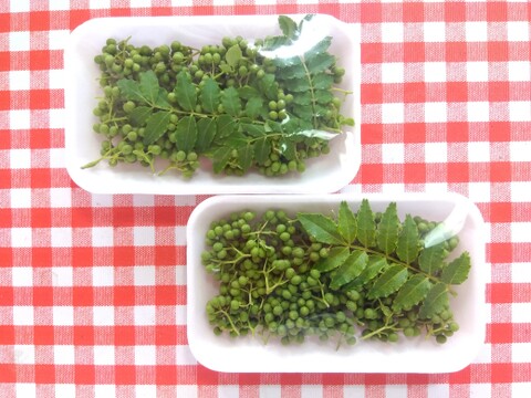 【旬の薬味】
山椒の実