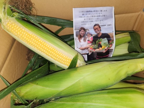 北海道産！濃厚極甘とうもろこし12本🌽訳あり