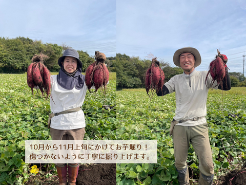 【新登場🍠】ほどよい甘みでパクパク食べられる！ほしいも「べにはるか平干し」200g×3袋　メール便発送