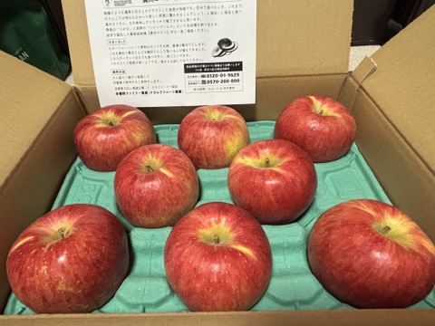 2月2日完売🙇 満点青空レストランで話題です🍎【りんごの概念変わります】奥州ロマン 3キロ箱 6玉〜15玉サイズ 長野県 信州 安曇野 リンゴ 幻  希少  甘い 幻の林檎  ID52109