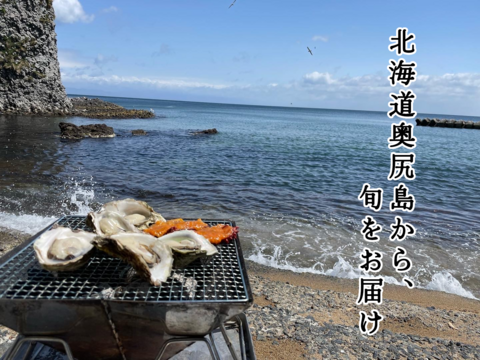 [夏ギフト]【北海道唯一の養殖岩牡蠣】北海道奥尻産 厳選岩牡蠣｢奥伎｣(sサイズ20個入り) 焼いてよし！蒸してよし！生でもよし！ 4年もの！北海道でも珍しい養殖岩牡蠣を食べよう！