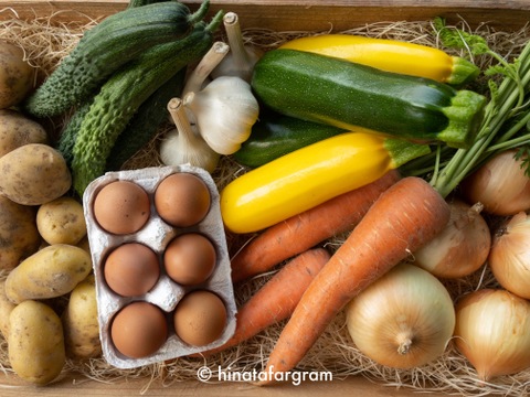 丹波篠山の旬のお野菜と卵の8点詰め合わせセットS
