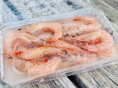 チョコっと‼️トロけるような旨みと甘みをもつトロえび（中）13尾前後/200g