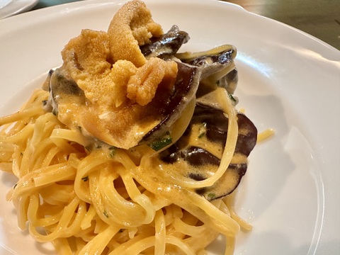 【食べ比べ】コリコリ★プリプリ☆徳島県産乾燥きくらげ白黒30g×6