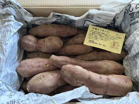 熟成さつまいも！ホクホク紅あずま！(3.2kg)【農薬不使用】