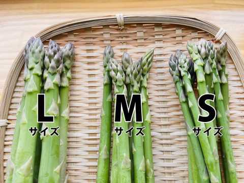 【自然栽培ならではの旨味】 自然栽培アスパラガス　L、M、Sサイズ混合(800ｇ)