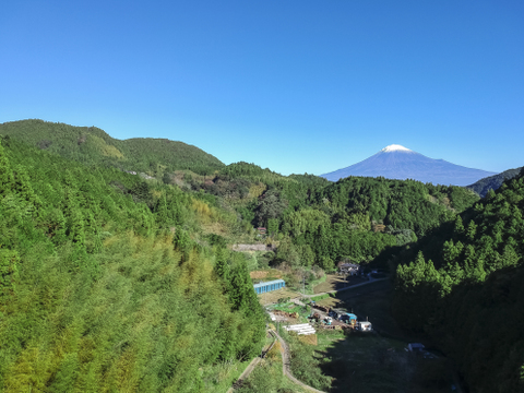 【産地直送！数量限定！！】みずみずしさそのまま！茹でたて うつぶさの筍 　（800g以上）