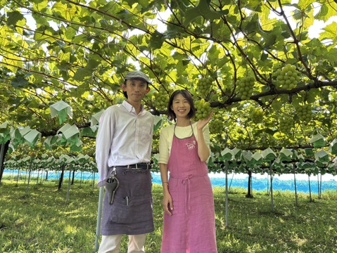 ベーリーA２袋！無添加 干しぶどう【ベーリーA４０g×２袋レーズン ドライフルーツ