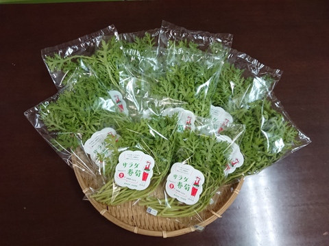 【★生で食べるサラダ春菊！！★】サラダ春菊（40ｇ×10袋）さっと洗ってそのまま使える！