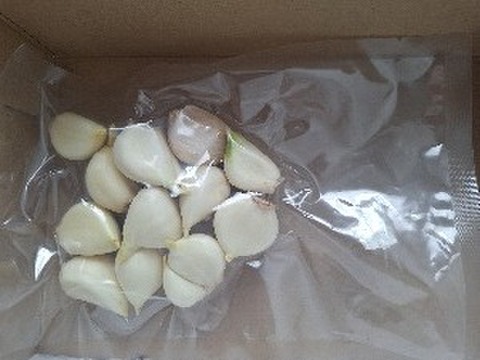 格安！訳あり品!!　北海道しれとこ産　少し発芽にんにく100ｇ～