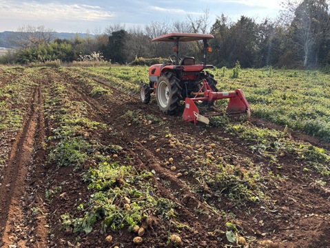 きたあかり5キロ