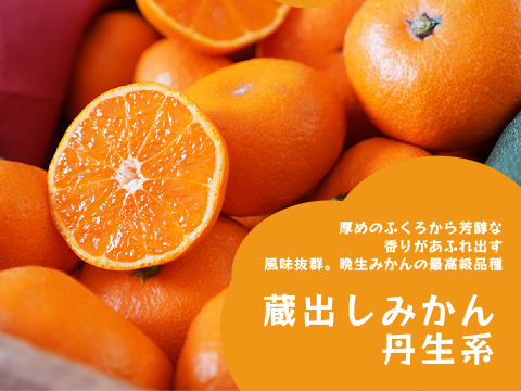 蔵出しみかん丹生系10kg｜和歌山県海南市下津町産。晩生みかんの最高級品種