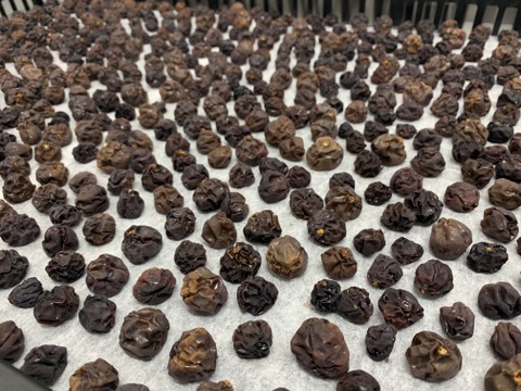 無添加 干しぶどう ベーリーA&シャインマスカット２袋セット販売レーズン ドライフルーツ