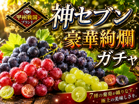 【高級ブランド葡萄】人気トップ７食べ比べガチャ何が届くかお楽しみ【詰め合わせお試し約1kg2種セット】【朝どれ】高級ぶどう家庭用・ギフトにも喜ばれる旬の味【敬老の日ギフト】【9月下旬予約】