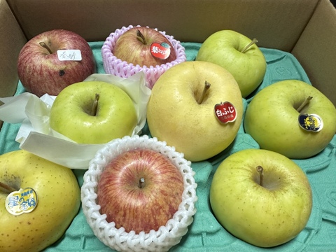 冷蔵発送！何が入るかお楽しみ！そのまんまりんご＋「わくわくりんご箱」約3kg箱　9〜11玉 食べ比べセット！