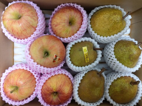 旬のフルーツセット 洋梨 ラフランス ふじりんご 家庭用 3kg箱まんぱい詰め (2〜4種) ご自宅用