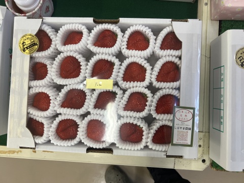 あさどり　高熟度　あまおう