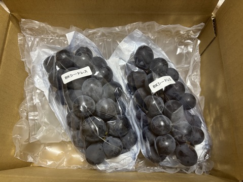 家庭用『BKシードレス』800g