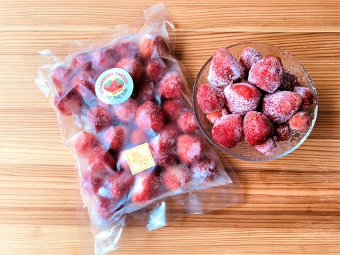 おいCベリー冷凍いちご 1袋(500g) 朝採りいちごの美味しさそのまま冷凍！※砂糖・添加物不使用