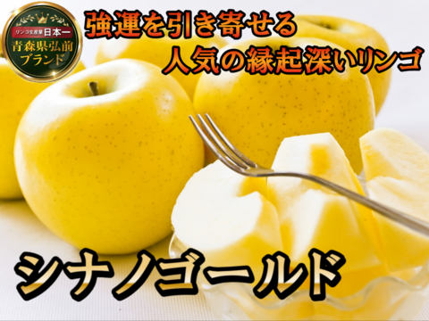 🍎リピート確定シナノゴールド🍎高糖度×柑橘系の酸味で富裕層も好む贈り物として人気の縁起深い林檎～品種指定キャンペーンお試し特価～【冬ギフト】