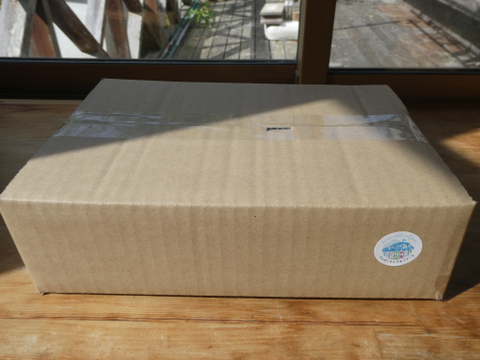 一人暮らしの方に・季節の野菜セット５～７品（Ｓサイズ・1～1.5kg前後）【お試しサイズ】