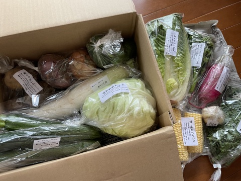 【旬のVEGE箱（Rサイズ）】土壌医＆有機農家がつくる！畑の「今」を箱いっぱいにつめこんだ野菜セット（約11〜12品種）