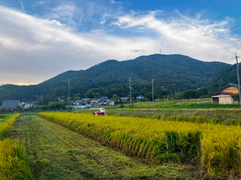 【令和８年産新米】●キヌヒカリ10kg●玄米