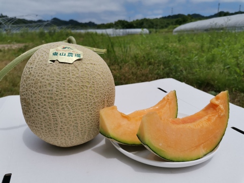 【冷蔵便】【1.6kg・2玉入】北海道夕張郡産キングメロン