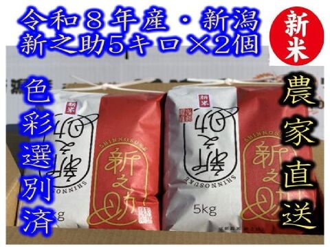 早期ご予約限定（ 通常の5％off）　新米　令和8年新潟県のお米のトップブランド　新之助（認証銘柄）　白米5kg × 2個　大粒で　粒感がありしっかりとした食感　冷めても固くなりにくい　★色彩選別済