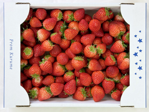 【たっぷり使える】訳ありよつぼし１kg｜ジャム・スムージー加工用に