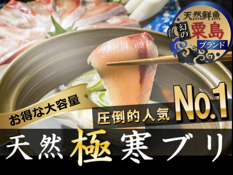 🐟冬ギフト🐟⚠締め切り間近30％増量キャンペーン⚠今逃せば1年待ち日本海ブランド"天然国産"活き〆寒ブリ刺身＆ブリしゃぶ用【2月上中旬発送】大容量キャンペーン約700g