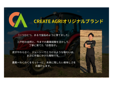 【訳アリ】とろける食感！クリーミー白ナス『白雪茄子』B品300g×10個