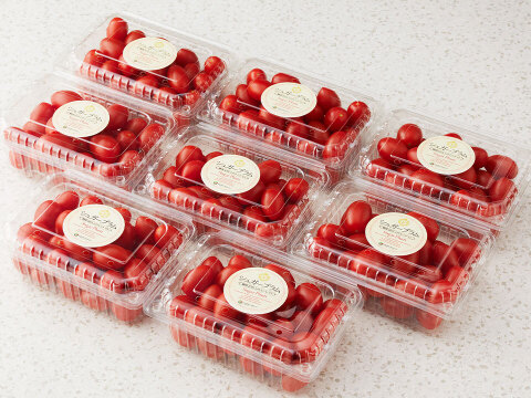 シュガープラム4kg 糖度10度以上の高リコピン(13mg)極甘・完熟・高糖度ミニトマト　ジューシーな甘さがクセになる(300005)